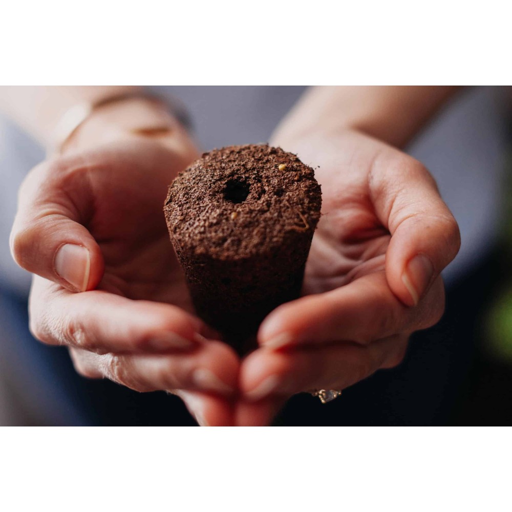 Click & Grow Συσκευασία Σπόρων με Χώμα για Κόκκινο Βασιλικό (3τμχ)