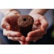 Click & Grow Συσκευασία Σπόρων με Χώμα για Σελόζια (3τμχ)